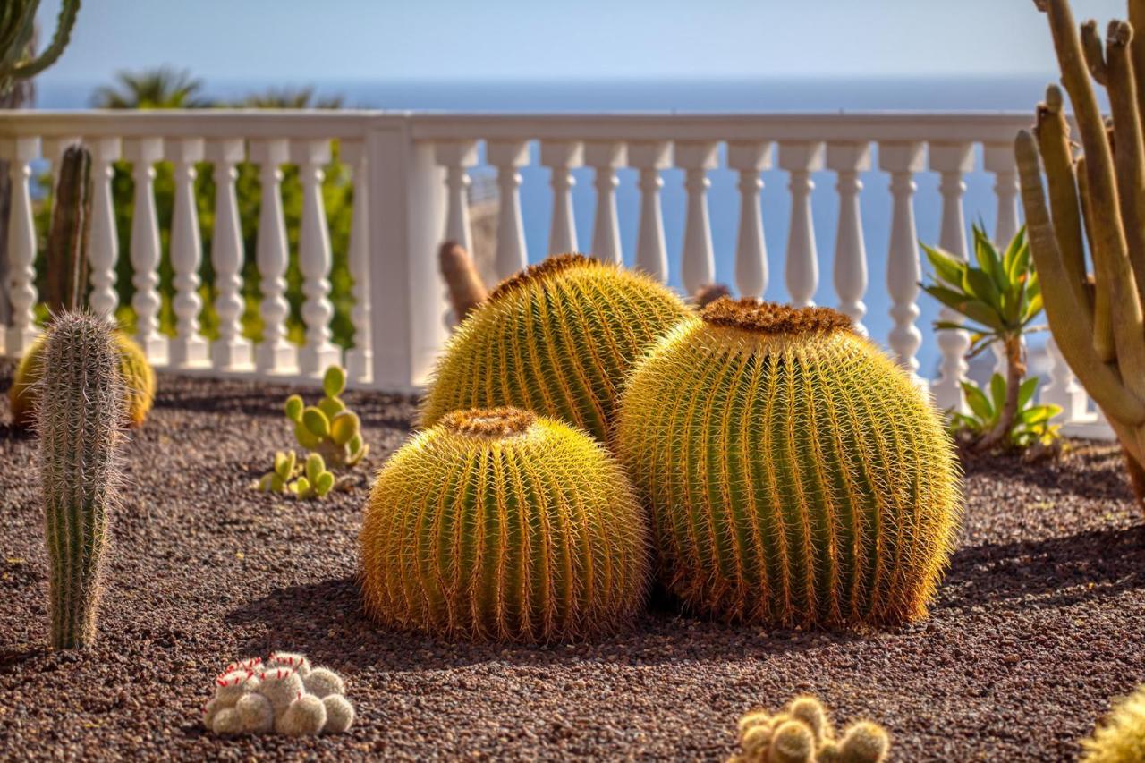 Stunning Villa With Breathtaking Ocean View Mogán Екстериор снимка